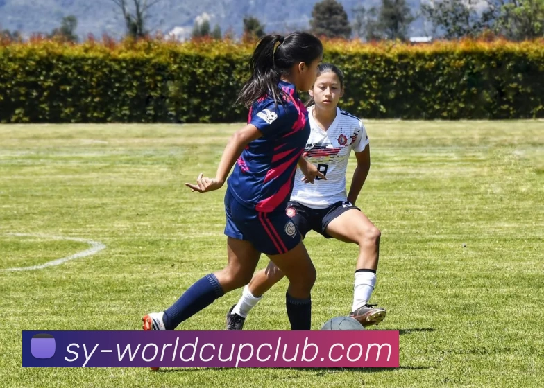 足球赛事投注发展历程